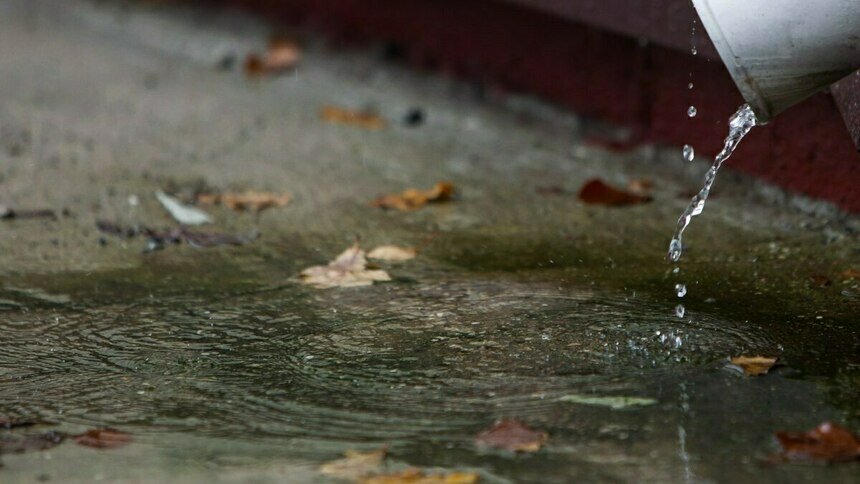 Пасмурно, дождь: погода в Калининградской области на субботу    - Новости Калининграда | Фото: Александр Подгорчук / Архив «Клопс»