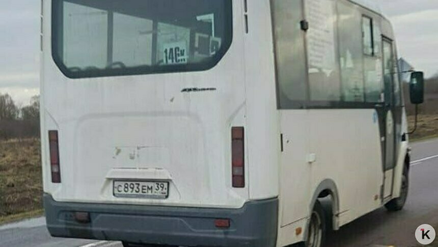Под Калининградом водитель автобуса сократил маршрут и высадил школьника у дороги - Новости Калининграда | Фото читателя