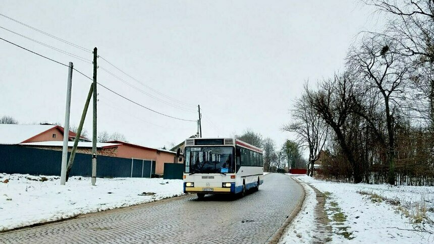 После публикации «Клопс» автобус с заросшими мхом окнами снимут с линии - Новости Калининграда | Фото читателя