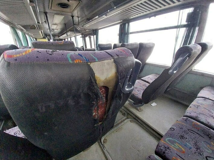 Калининградцам пришлось ехать за город в автобусе с рваным сиденьем и мхом на окнах (фото) - Новости Калининграда | Фото читателя