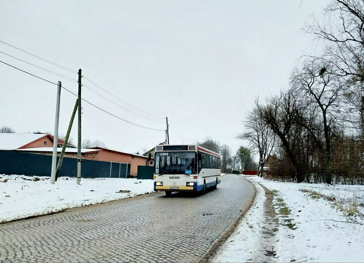 Калининградцам пришлось ехать за город в автобусе с рваным сиденьем и мхом на окнах (фото) - Новости Калининграда | Фото читателя