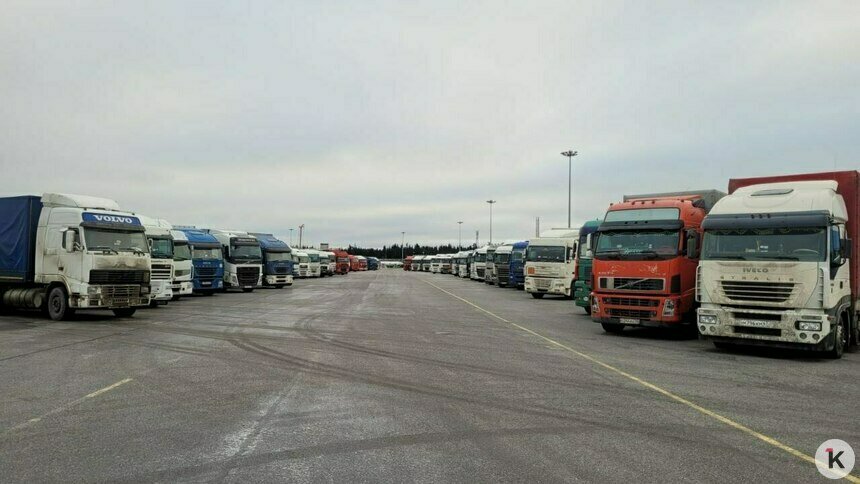 «Стоим в порту уже неделю»: калининградские дальнобойщики застряли в Усть-Луге - Новости Калининграда | Фото читателя