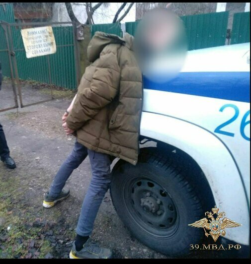Мужчину задержали, он указал места закладок | Фото: пресс-служба УМВД по Калининградской области