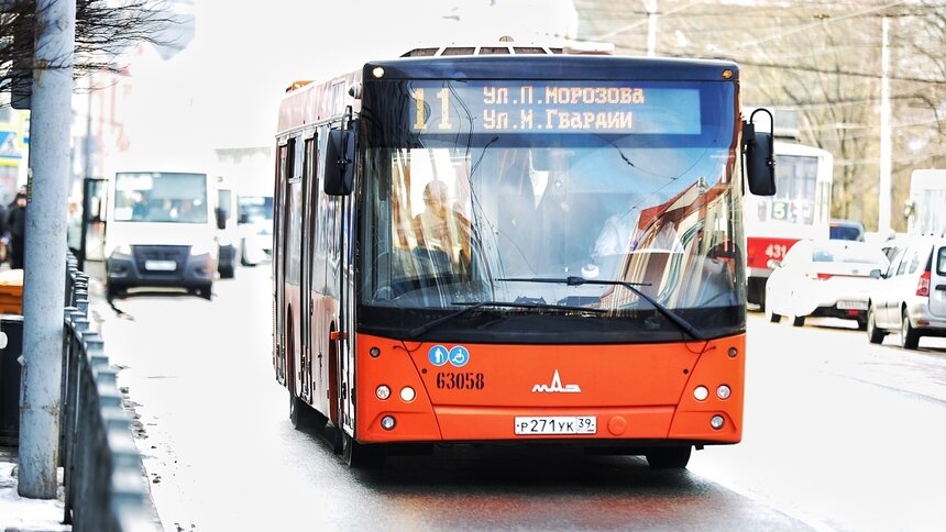 В Калининграде изменится маршрут автобуса №11 - Новости Калининграда | Фото: Александр Подгорчук / «Клопс»