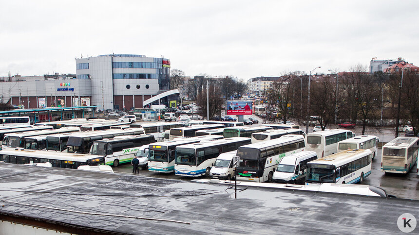 Из Калининграда в Гданьск увеличат количество автобусных рейсов - Новости Калининграда | Фото: Александр Подгорчук / Архив «Клопс»