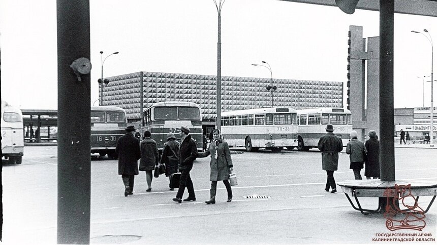 Без заборов: в региональном госархиве показали, как выглядел автовокзал около 50 лет назад (фото) - Новости Калининграда | Фото: госархив Калининградской области