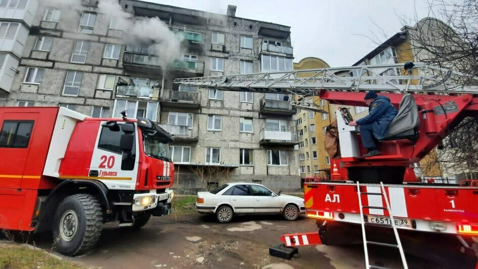 В Васильково из-за пожара в пятиэтажке эвакуировали 14 человек, в том числе 4 детей (фото) - Новости Калининграда | Фото: пресс-служба МЧС региона