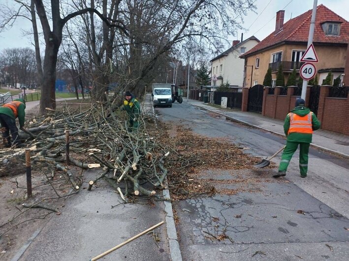 На Калининградскую область обрушился шторм: фото, видео (обновлено)  - Новости Калининграда | Фото: с официальной страницы Елены Дятловой «ВКонтакте»