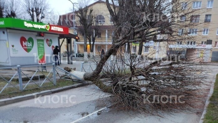 На Калининградскую область обрушился шторм: фото, видео (обновлено)  - Новости Калининграда | Фото: очевидец