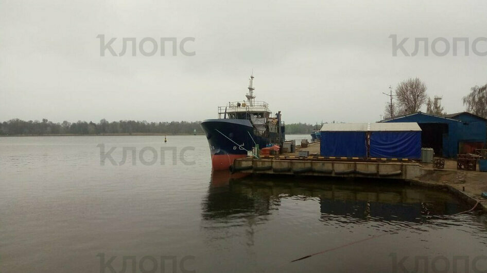 Закрытие границ, судебное дело Фургала и убийство старпома в Светлом