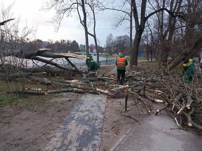 На Калининградскую область обрушился шторм: фото, видео (обновлено)  - Новости Калининграда | Фото: с официальной страницы Елены Дятловой «ВКонтакте»