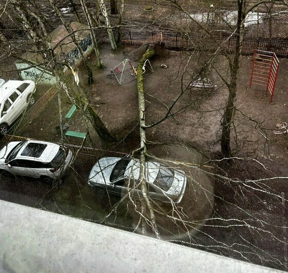 Обрушится шторм. Шторм в Калининграде. Шторм в Калининграде фото. Шторм в Калининградской области. Фото для видео.