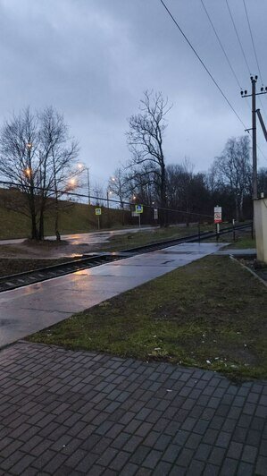 «Убежавшие» мусорки, поваленные деревья и оборванные провода: что в ...