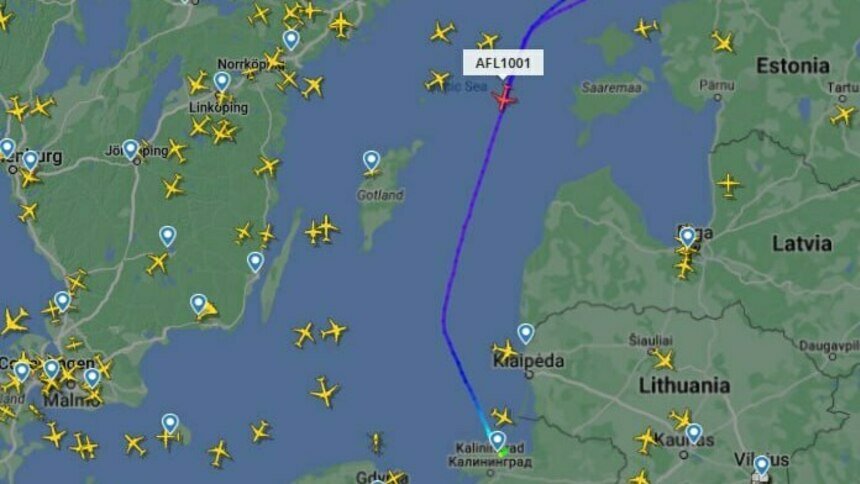 Несколько калининградских самолётов возвращаются в Храброво из-за поиска НЛО над Петербургом - Новости Калининграда | Скриншот сервиса Flightradar