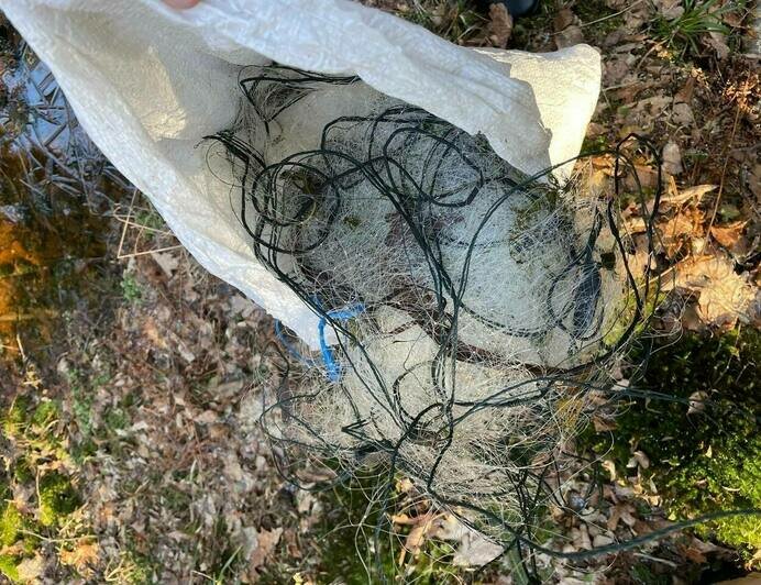 На Куршской косе нашли бесхозные рыболовные сети браконьеров (фото ...