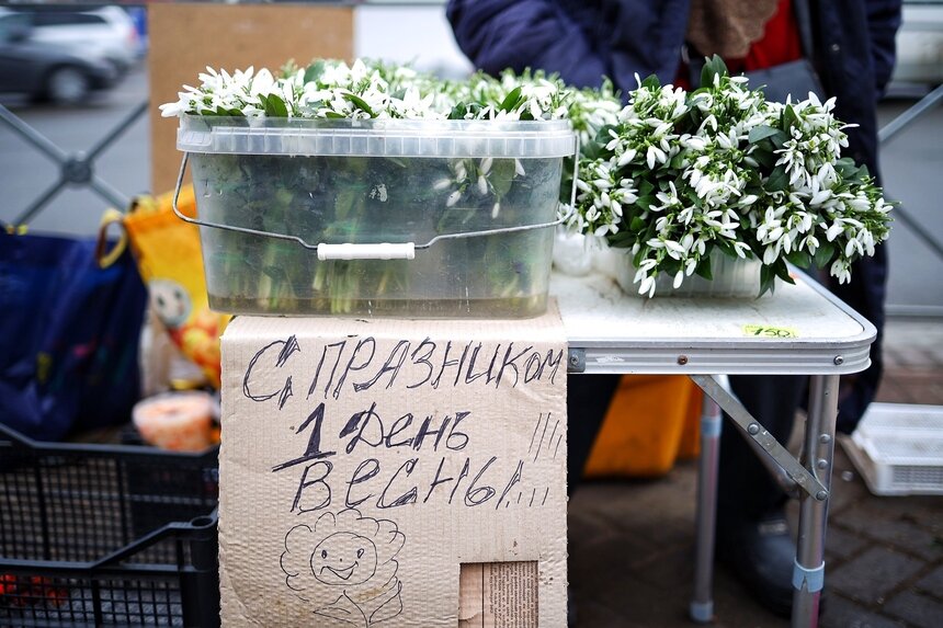Фото дня: торговцы подснежниками поздравляют с первым днём весны - Новости Калининграда | Фото: Александр Подгорчук / «Клопс»