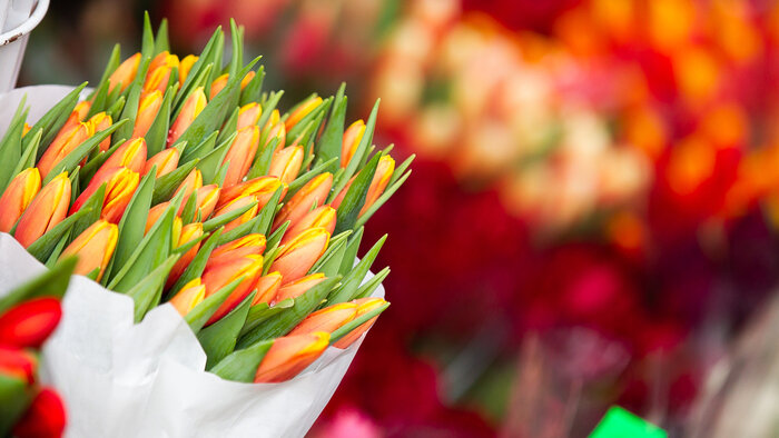 Конфетно-букетный период: сколько стоят цветы в Калининграде накануне 8 ...