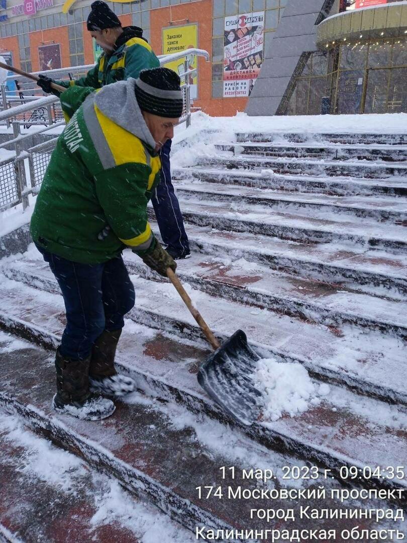 Ночь и утро у наших коммунальщиков выдалось недоброе»: Дятлова — об уборке  снега в Калининграде (фото) - Новости Калининграда