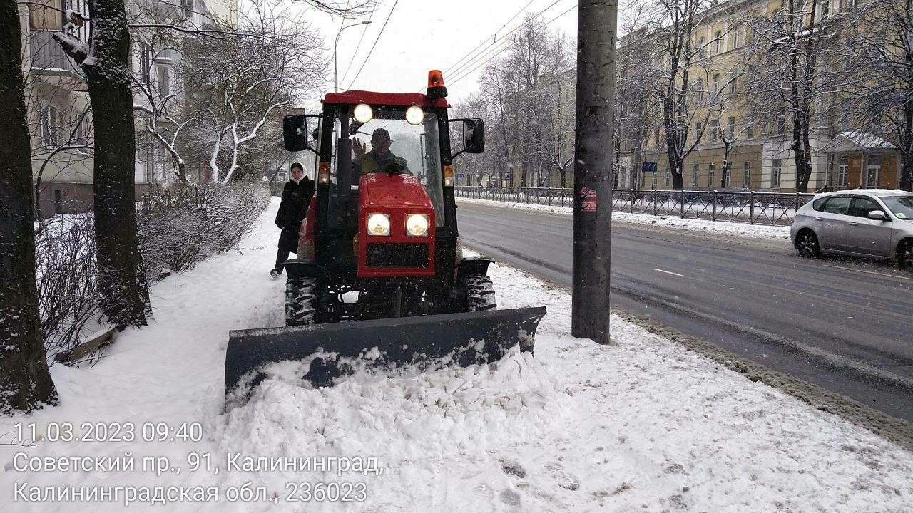 Ночь и утро у наших коммунальщиков выдалось недоброе»: Дятлова — об уборке  снега в Калининграде (фото) - Новости Калининграда