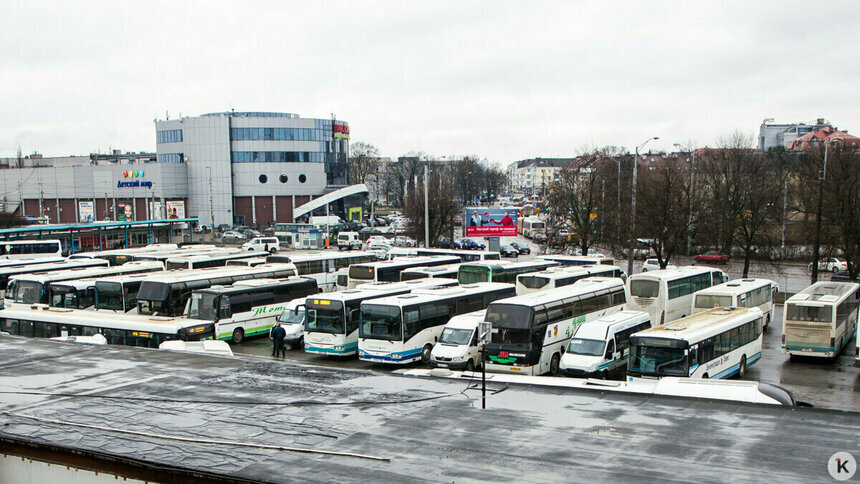 Из Калининграда будет ходить автобус в ещё один немецкий город - Новости Калининграда | Фото: Александр Подгорчук / Архив «Клопс»