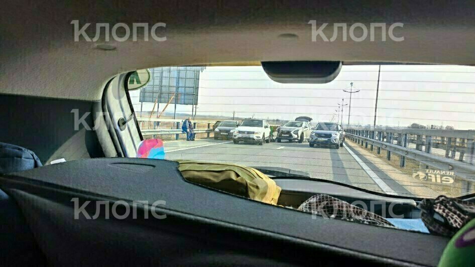 Телеграм новости авто