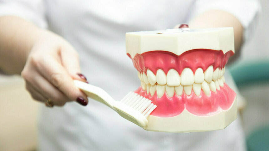 Стоматолог объяснила, когда пора начинать чистить зубы ребёнку - Новости Калининграда | Фото: Александр Подгорчук / «Клопс»
