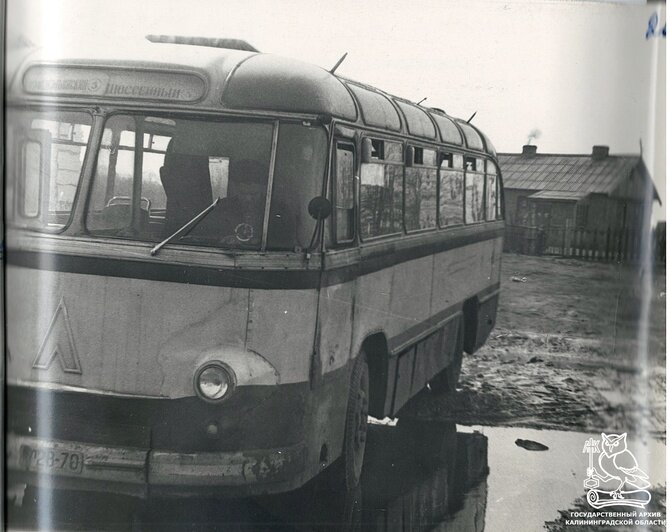 В региональном госархиве показали, какие улицы в Калининградской ...