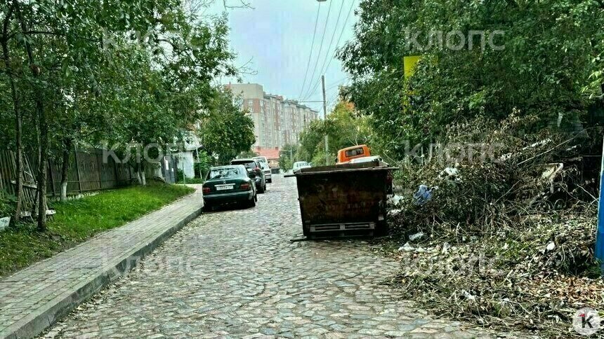 В районе Куйбышева на проезжей части напротив детского сада поставили мусорный контейнер (фото) - Новости Калининграда | Фото: «Клопс»