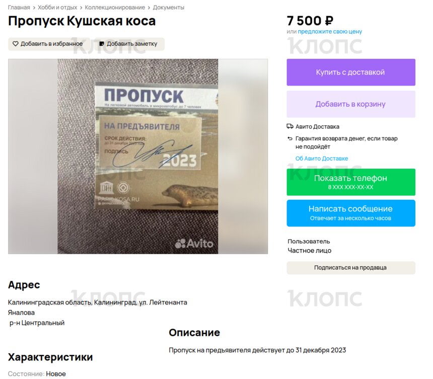 В сети продают многоразовый пропуск на Куршскую косу, в нацпарке пригрозили изъять такой документ на КПП - Новости Калининграда