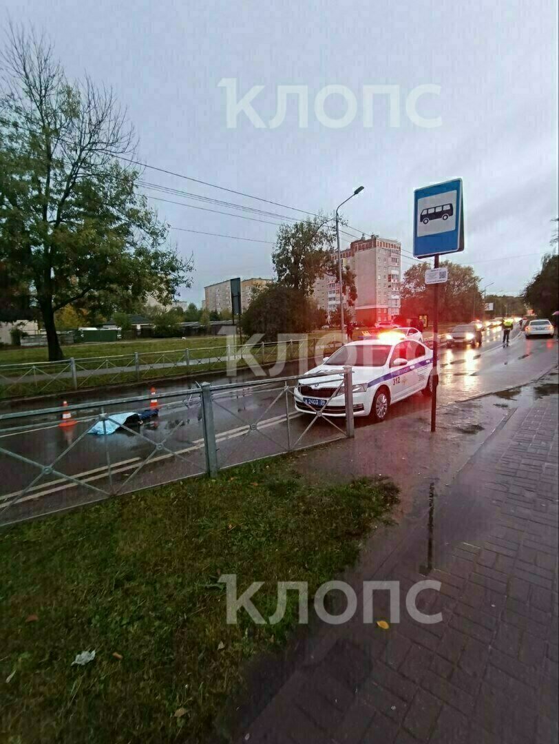 Двигали, реакции не было, голова разбита»: на Борзова сбили человека (фото,  видео) - Новости Калининграда