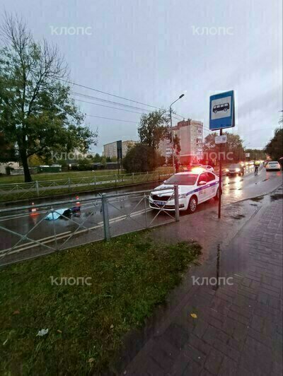 «Двигали, реакции не было, голова разбита»: на Борзова сбили человека (фото, видео)   - Новости Калининграда | Фото: Очевидец