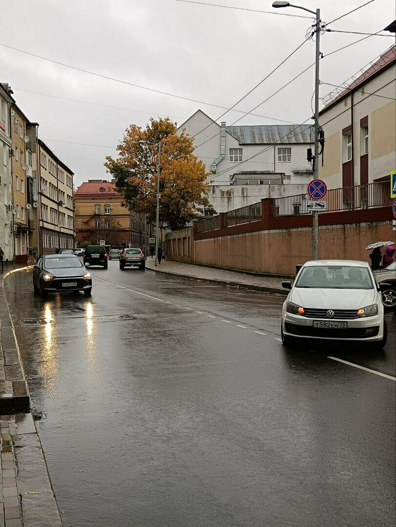 Мечется по дороге и из-за зонта не видит машину»: в Калининграде сбили  82-летнюю женщину (фото) - Новости Калининграда