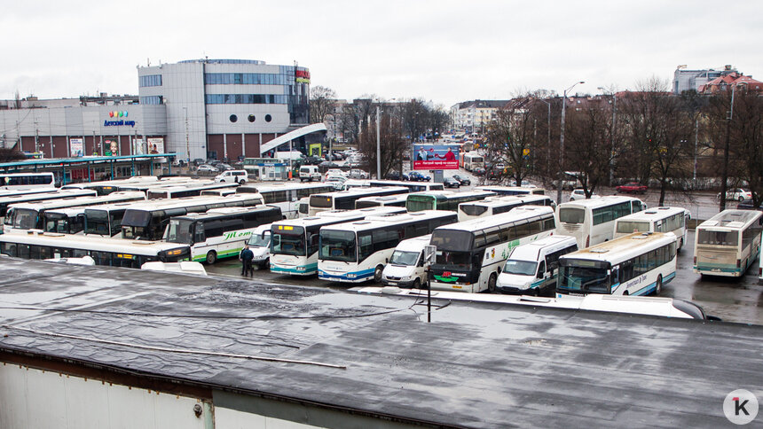 С ноября увеличится количество автобусных рейсов из Калининграда в Литву - Новости Калининграда | Фото: Александр Подгорчук / Архив «Клопс»