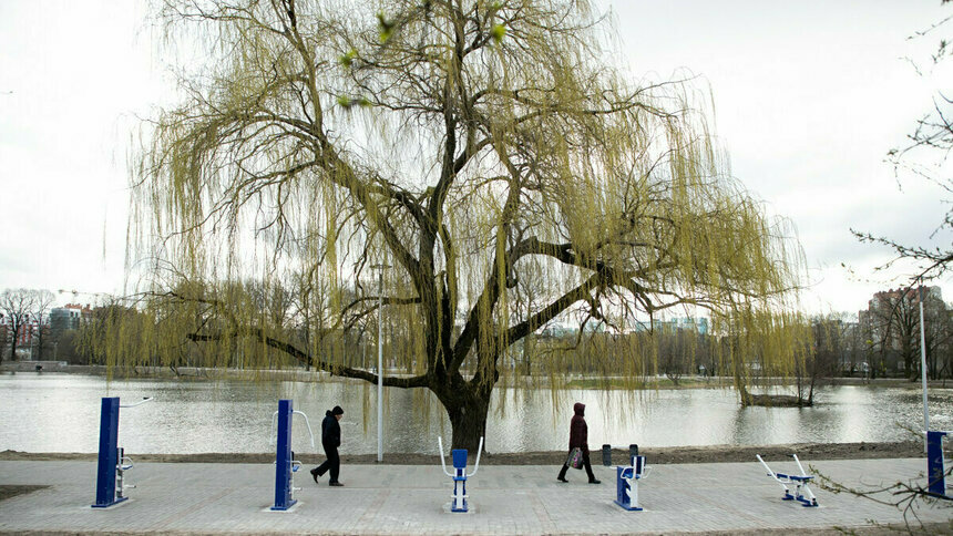 На Летнем озере установят три качели из лиственницы   - Новости Калининграда | Фото: архив «Клопс»