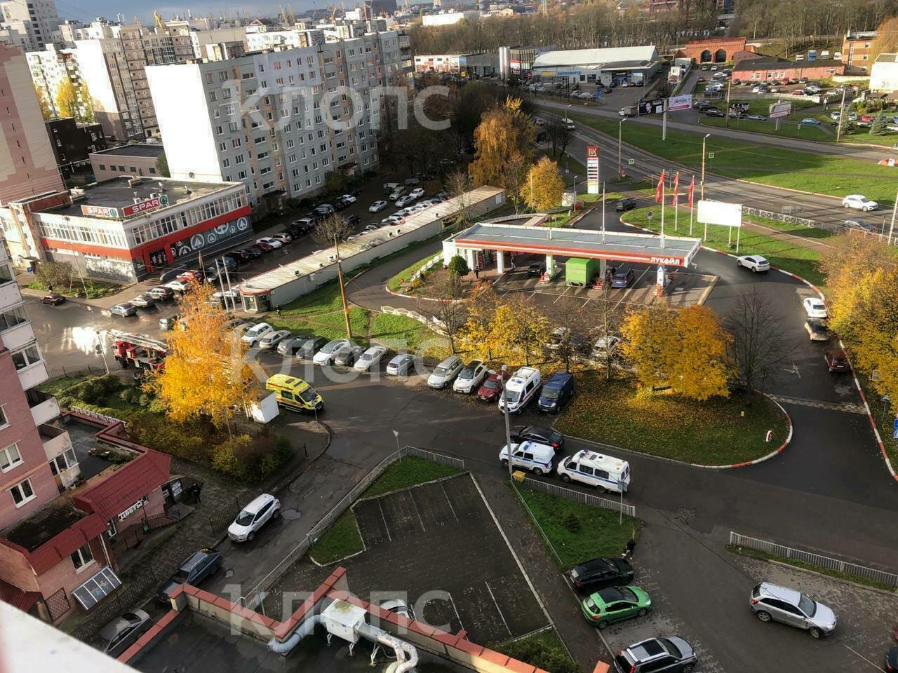 В Калининграде возле отделения Сбербанка работают кинологи, пожарные и  скорые — очевидцы (фото) - Новости Калининграда