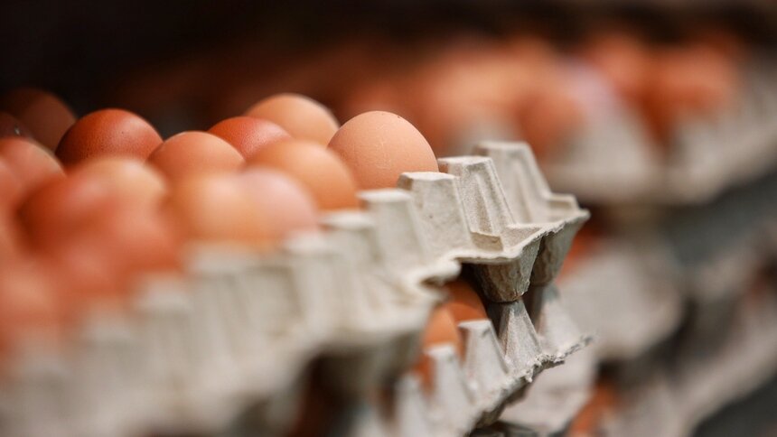 Власти рассказали, что происходит с ценами на куриные яйца в Калининградской области - Новости Калининграда | Фото: Александр Подгорчук / Архив «Клопс»