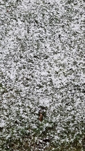В Калининградской области выпал первый снег (фото)  - Новости Калининграда | Фото: очевидцы