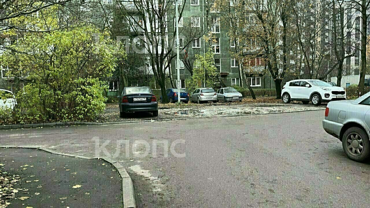 Калининградка самостоятельно залатала дорогу во дворе своей бабушки (видео)  - Новости Калининграда