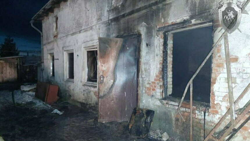 Позиция владельцев кота