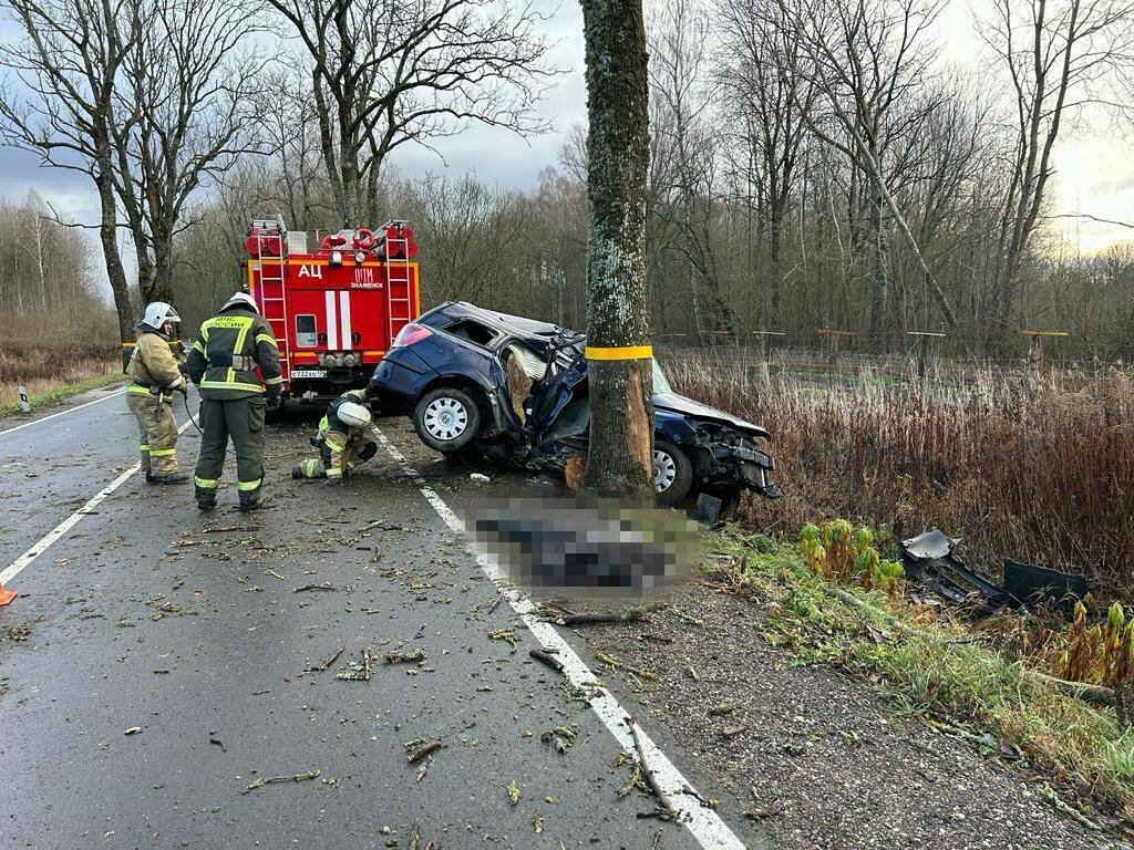 Водителю было 53, пассажирке — 66: подробности смертельной аварии в Калининградской  области, где легковушка влетела в дерево - Новости Калининграда