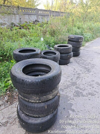 «В копеечку»: в мэрии Калининграда рассказали, во сколько обходится ...