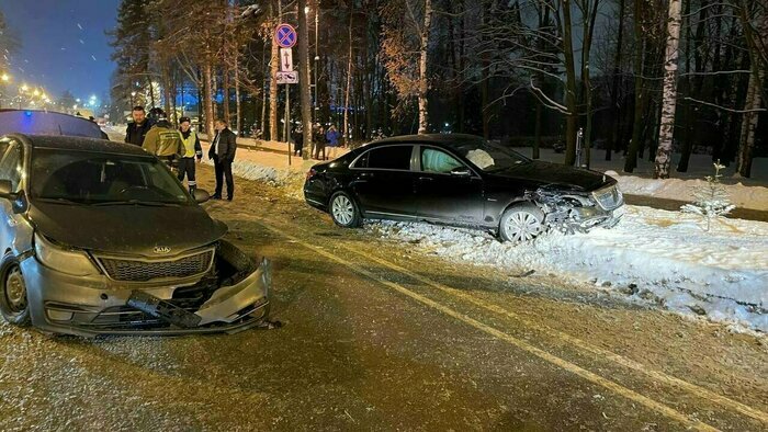 Нападение медведицы в Коми и смертельное ДТП в Калининграде: 9 ...