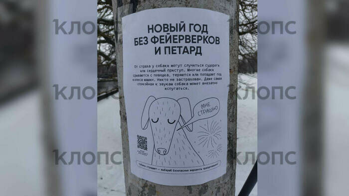 Объявление на улице в Калининграде  | Фото: «Клопс»