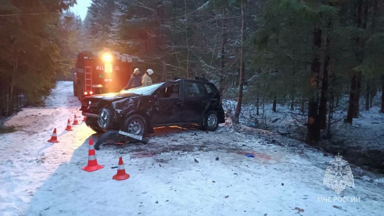 Под Нестеровом перевернулся автомобиль, водитель застрял в салоне и погиб -  Новости Калининграда