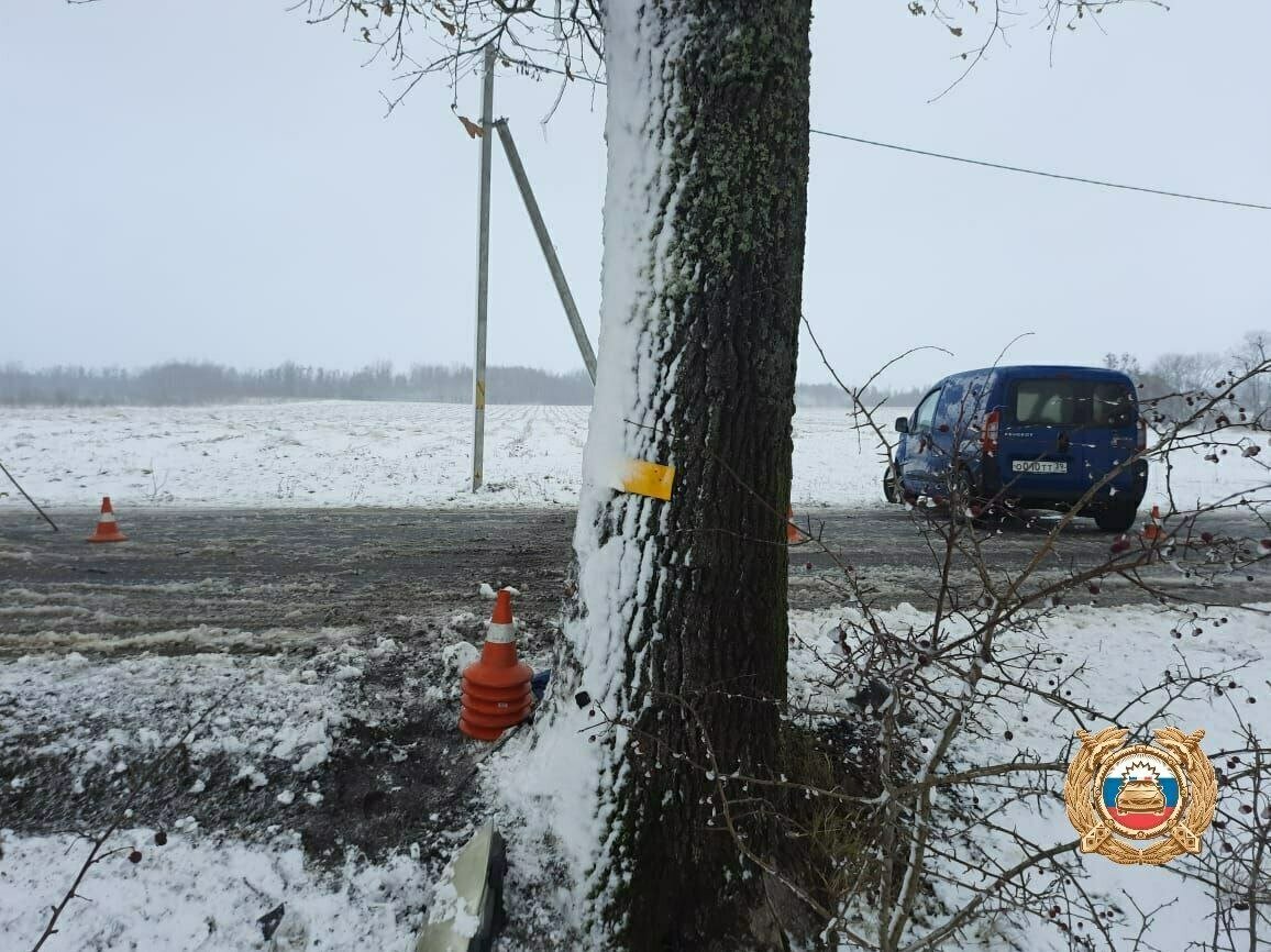 В Багратионовском районе автомобиль врезался в дерево, пострадала  пассажирка - Новости Калининграда