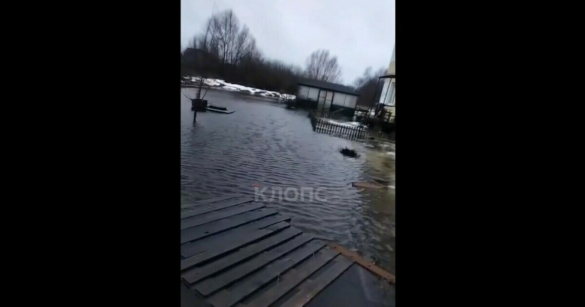 Калининград затопило видео