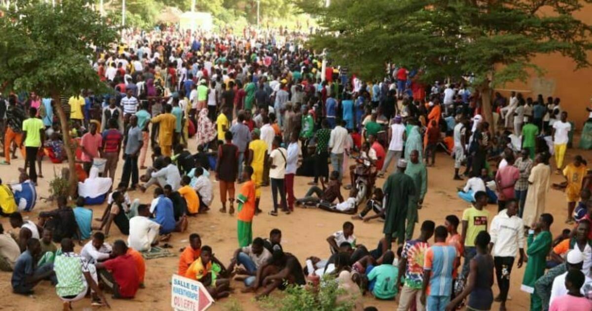 негроидная раса центральноафриканская малая раса. европейские африканцы. красивые африканцы мужчины. негроиды (африканская раса). альбинос негроидной расы.