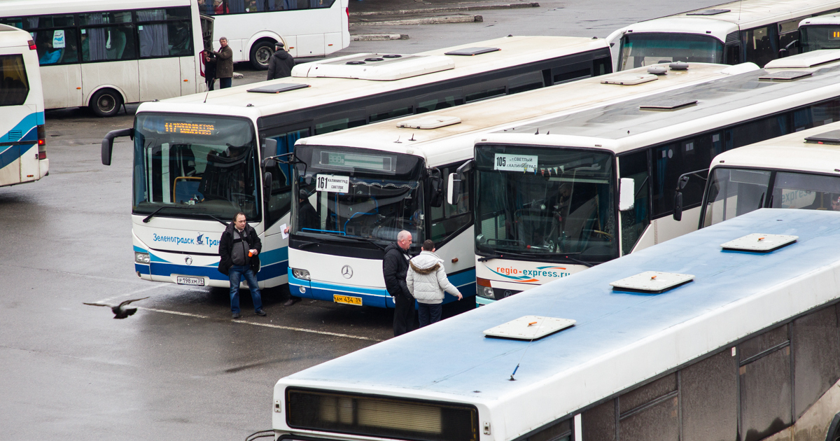калининград люблино расписание. расписание 110 маршрутки. расписание автобусов светлый калининград. расписание пригородных поездов. проект дороги дублера горьковского шоссе казань.