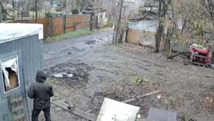 В Калининграде обокрали приют для старых животных (фото, видео)   
