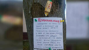 «Лерочка К., я люблю тебя всем сердцем»: калининградец оставил послание на дереве у озера Поплавок